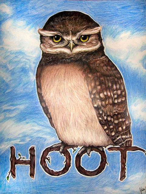 Colored pencil drawing of a burrowing owl perched on branch letters spelling HOOT against a blue sky